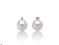 Orecchini Miluna Donna Perle Punto Luce in Oro bianco Perla PER1775 - PER1775
